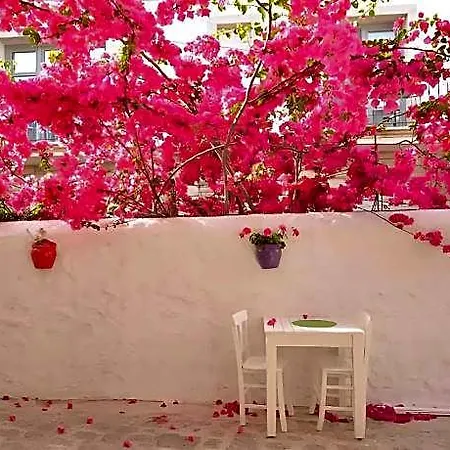 Bed & Breakfast Alayaz